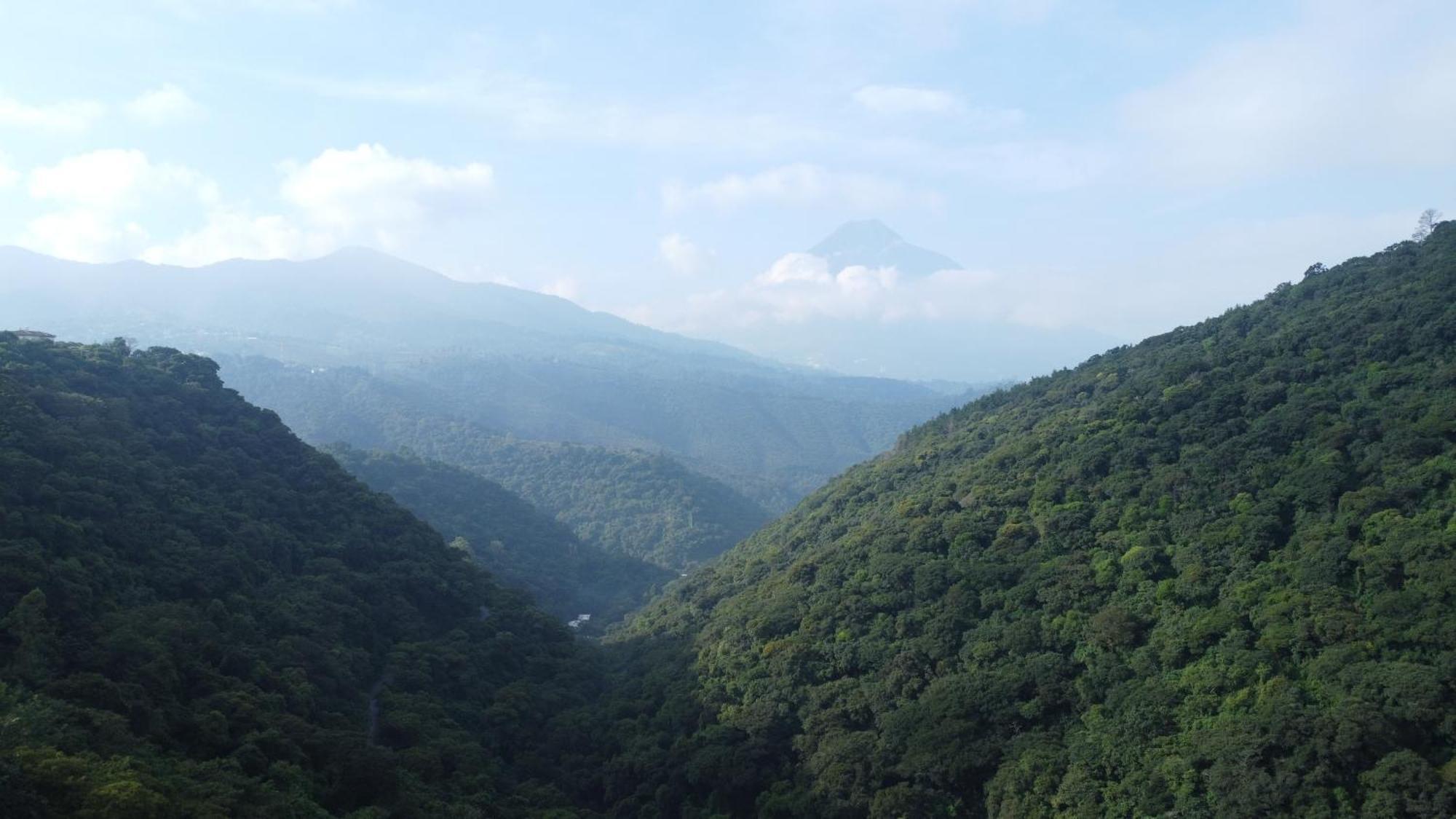 Finca San Mateo - Private Luxury Coffee Estate In Antigua Guatemala Εξωτερικό φωτογραφία